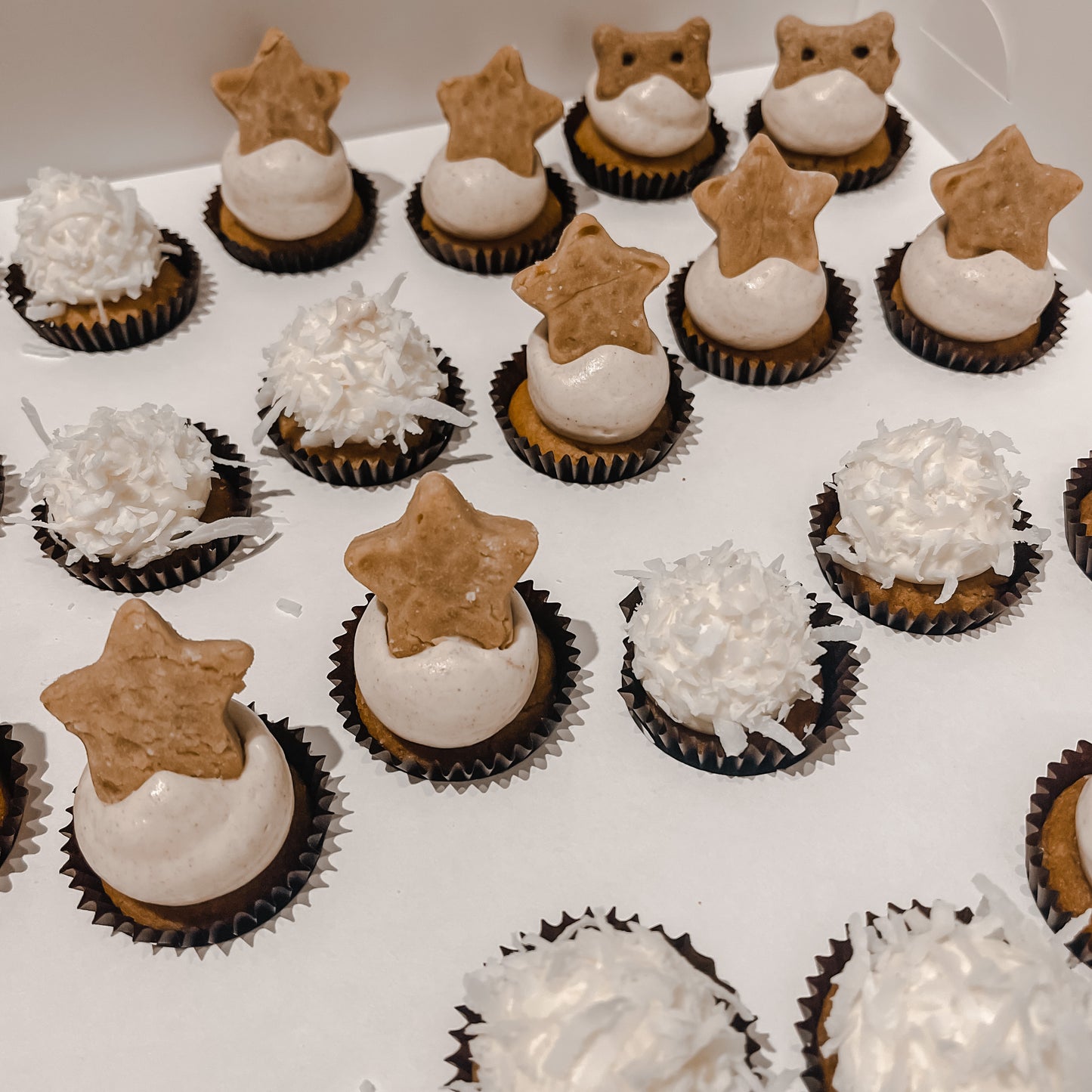 Christmas Mini Pupcake 6 Pack PRE-ORDER